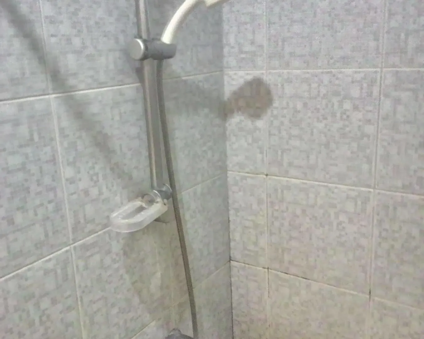 Aparthotel Bel-Air Soho Suites Makati City